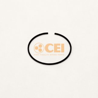 رینگ اویل پمپ CEI 180